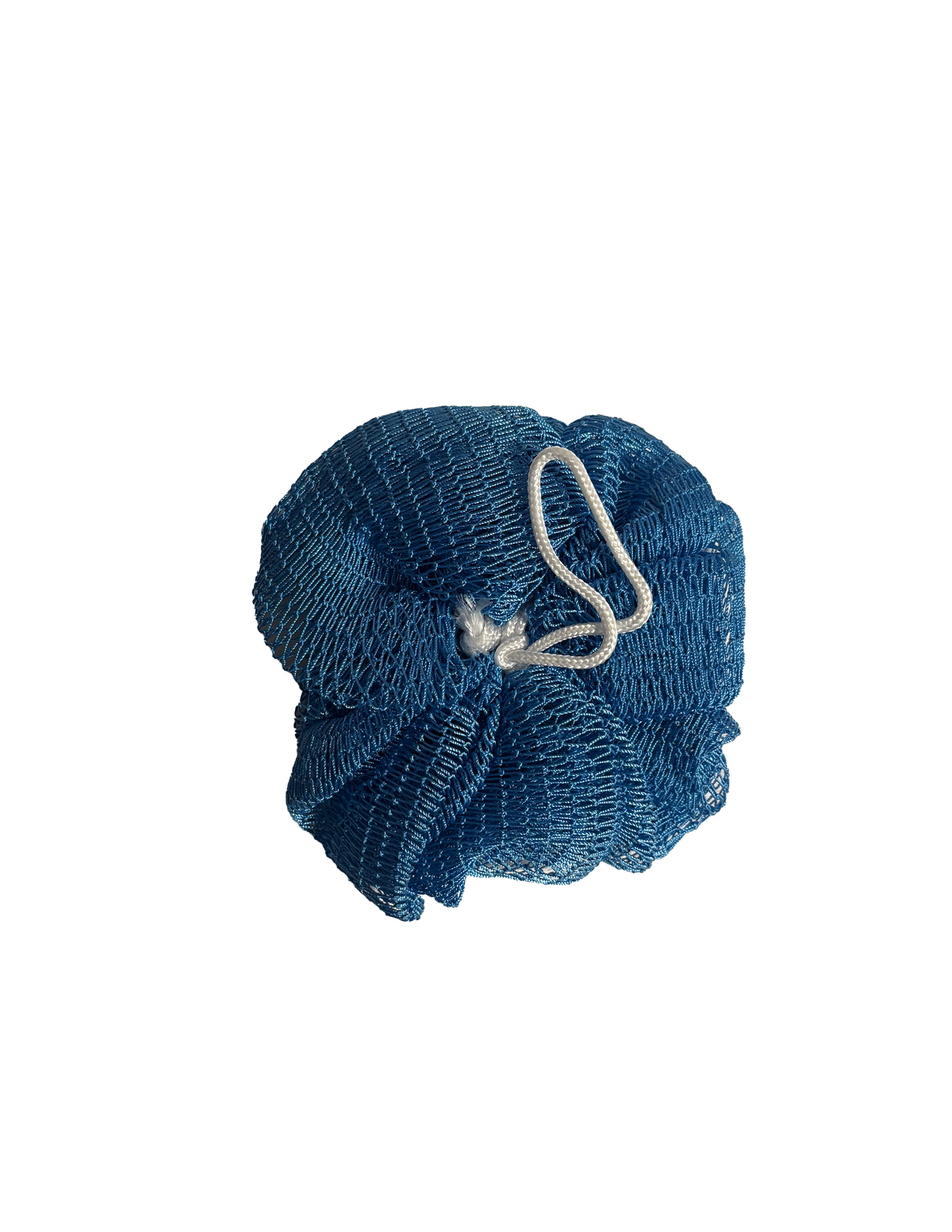 African Round Net Sponge
